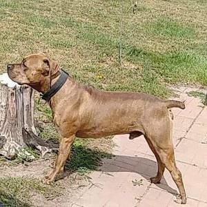 Meet your Posher, Joshua